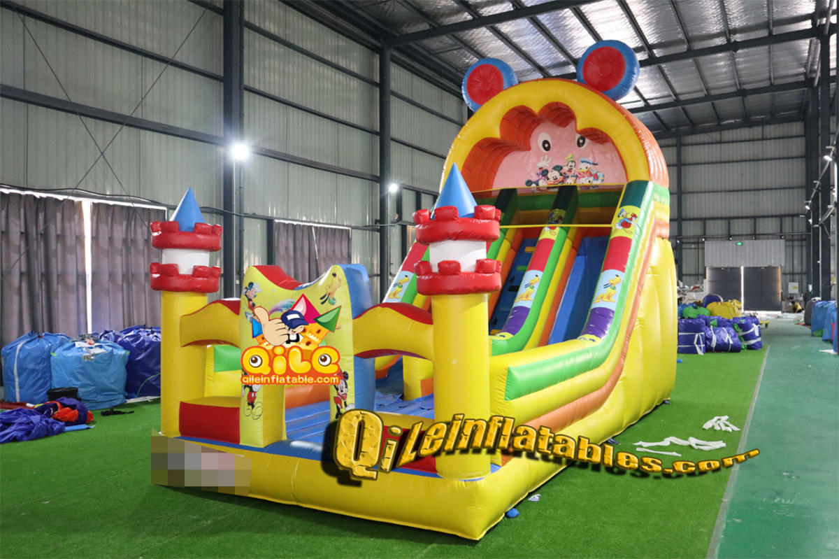 qile-7020 inflatable dry slide