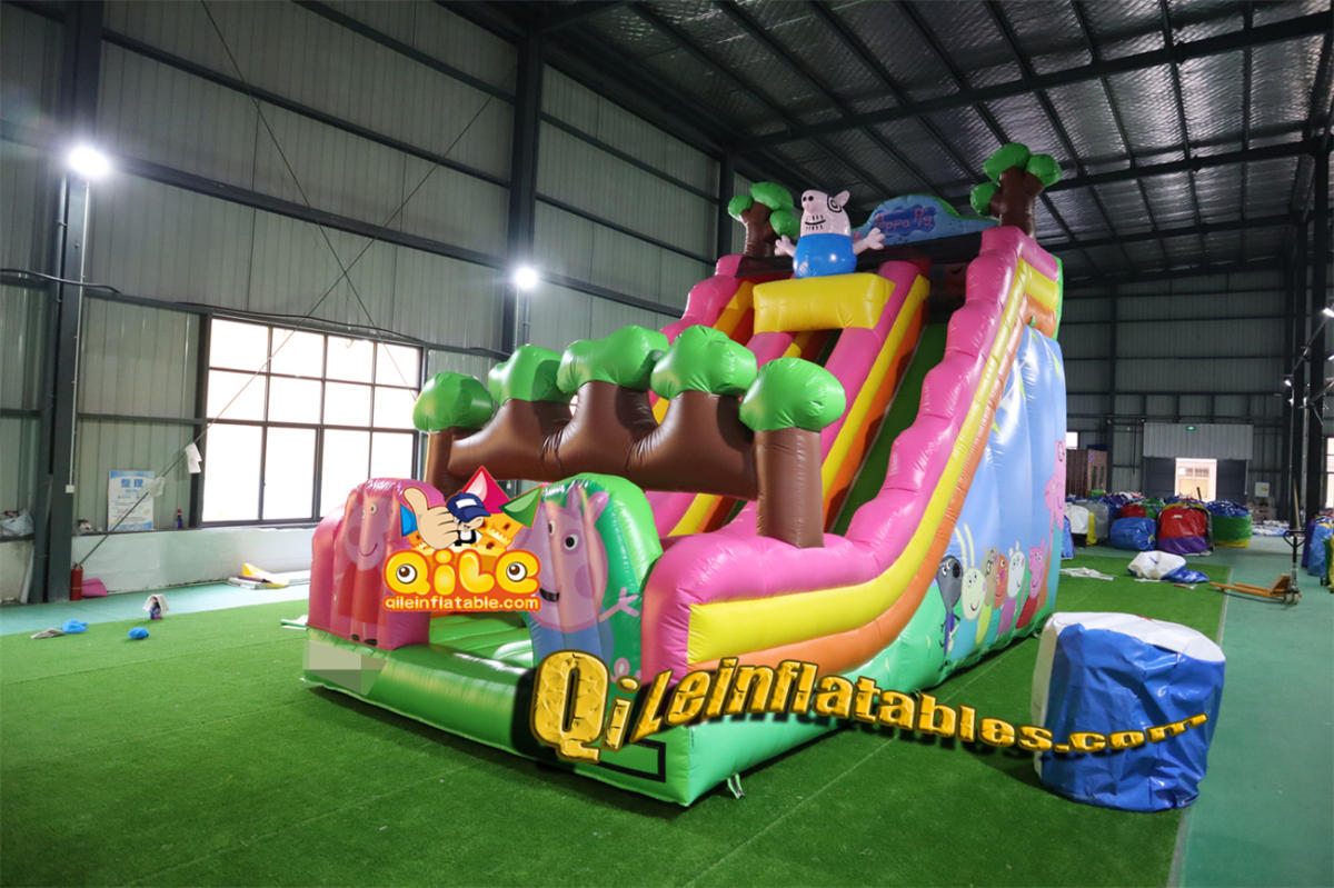 qile-7052 inflatable dry slide Page's Family slide