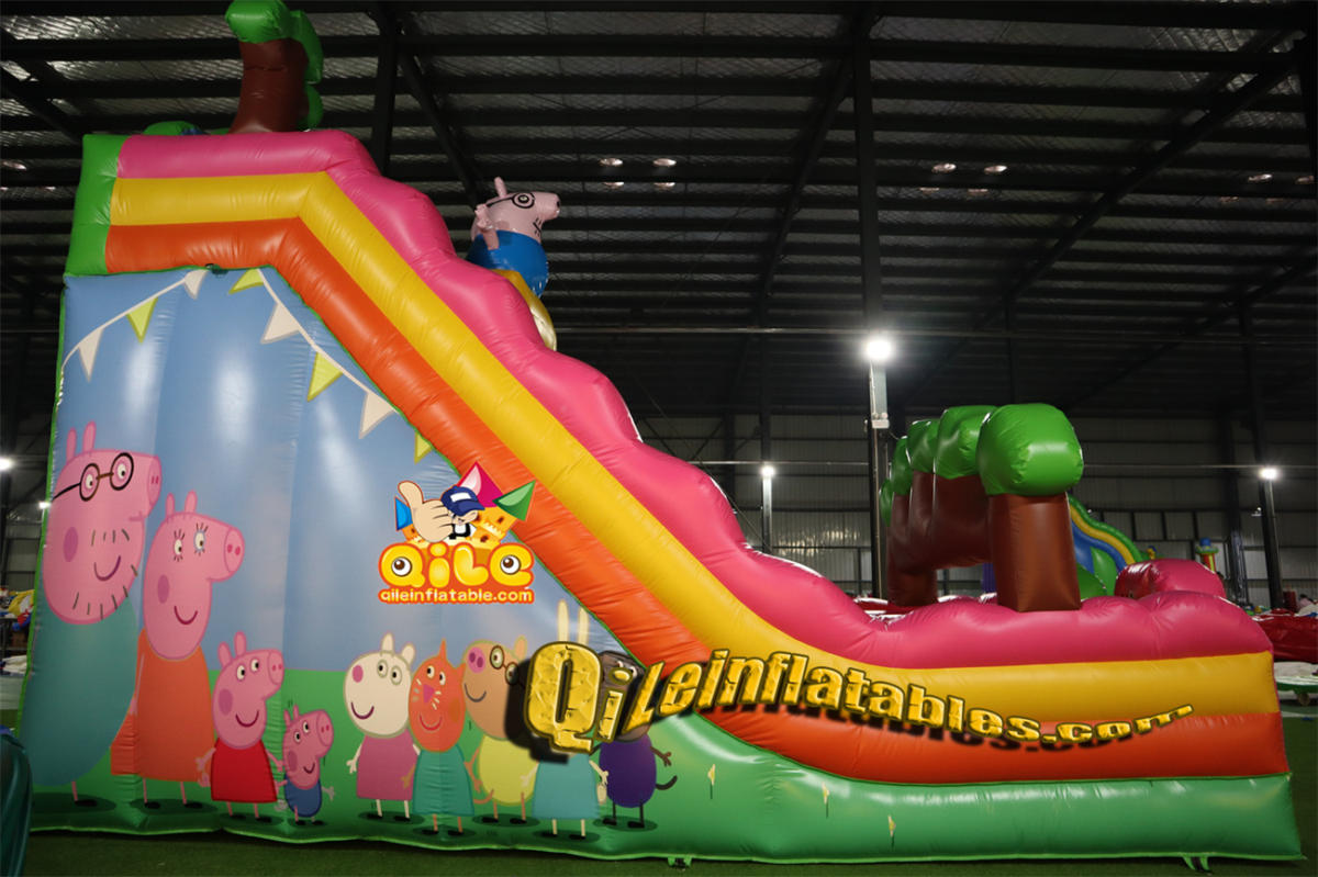 qile-7052 inflatable dry slide Page's Family slide