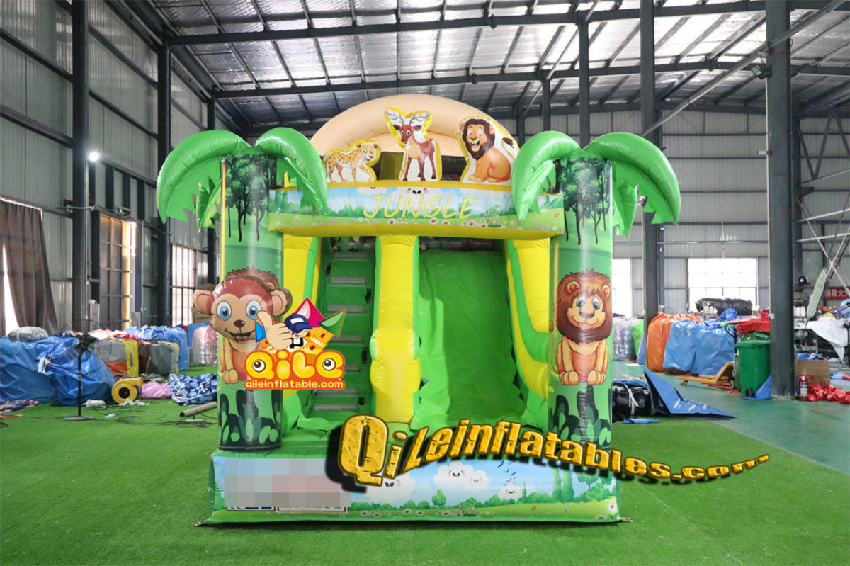 qile-7061 inflatable dry slide