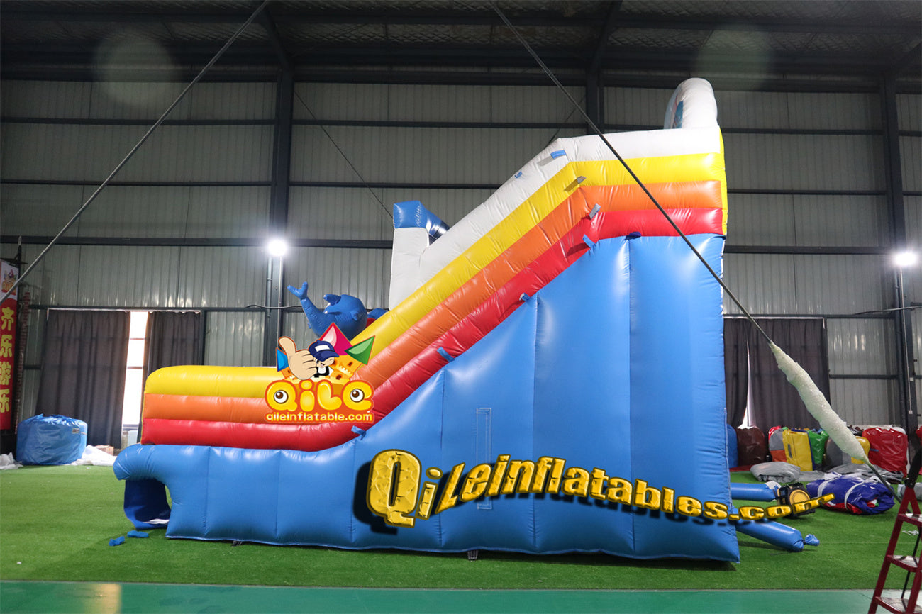 qile-6002 Double climb, double slide, blue dolphin slide with large pool