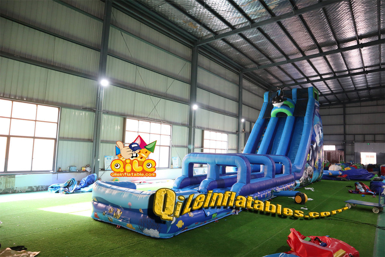 qile-6015 Summer Ocean Theme water slide with pool