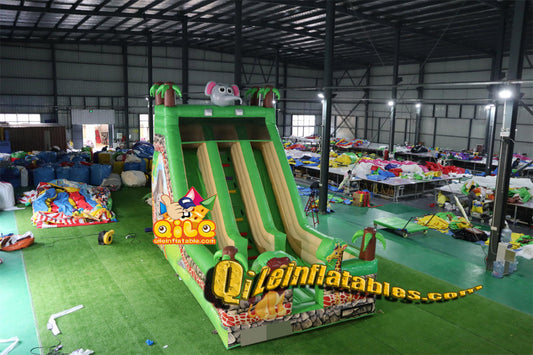 qile-7079 inflatable dry slide
